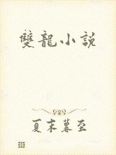 双龙小说