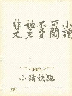 非她不可小说全文免费阅读封面