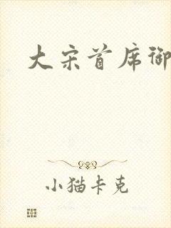 大宋首席御医封面
