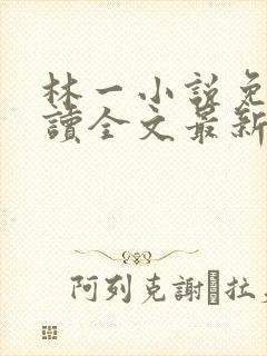 林一小说免费阅读全文最新章节封面