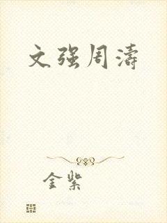 文强周涛封面
