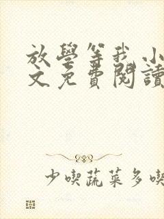 放学等我小说全文免费阅读无弹窗