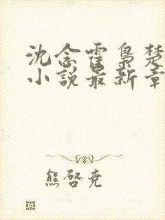 沈念霍枭楚莹莹小说最新章节更新免费阅读封面