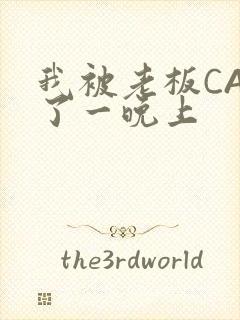 我被老板CAO了一晚上