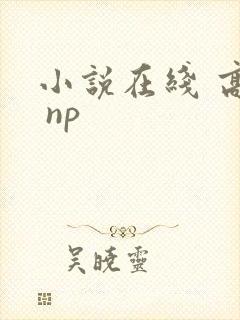 小说在线 高h np封面