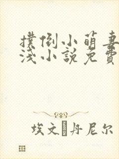 扑倒小萌妻顾浅浅小说免费阅读