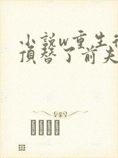 小说w重生后我顶替了前夫白月光,