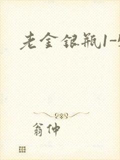老金银瓶1-5封面