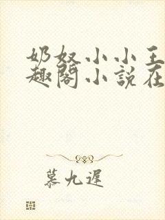 奶奴小小王爷笔趣阁小说在线阅读封面