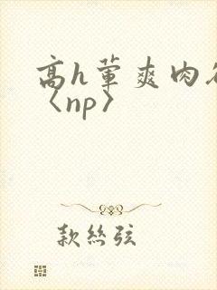 高h荤爽肉欲文〈np〉