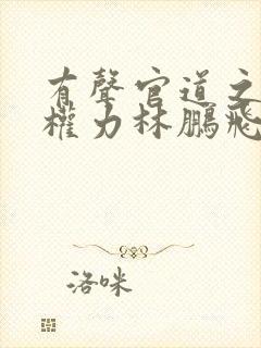 有声官道之绝对权力林鹏飞安江小说