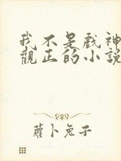 我不是戏神是三观正的小说吗