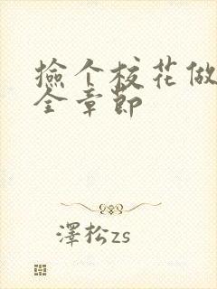捡个校花做老婆全章节封面