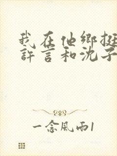 我在他乡挺好的许言和沈子畅结局