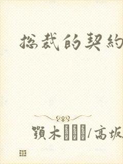 总裁的契约情人封面