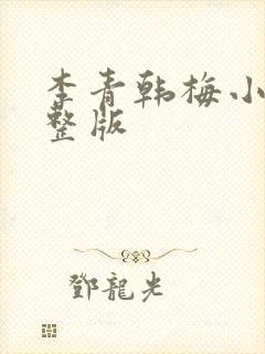 李青韩梅小说完整版