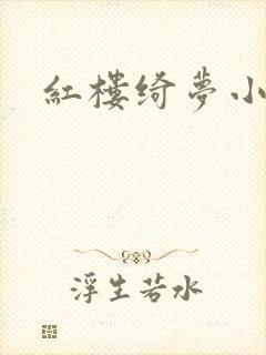 红楼绮梦小说