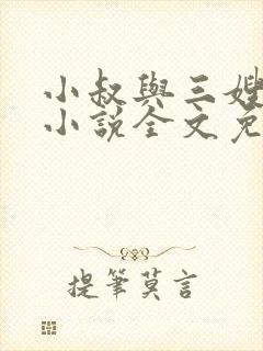 小叔与三嫂白莹小说全文免费阅读封面