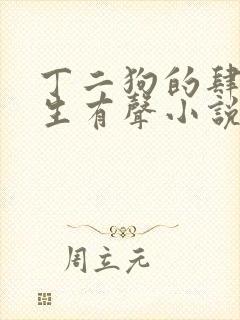 丁二狗的肆意人生有声小说免费