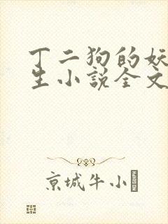 丁二狗的妖孽人生小说全文无删减