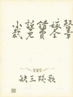 小说错嫁替婚总裁免费全章