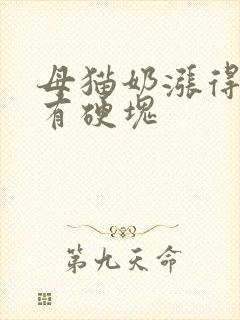 母猫奶涨得很大有硬块
