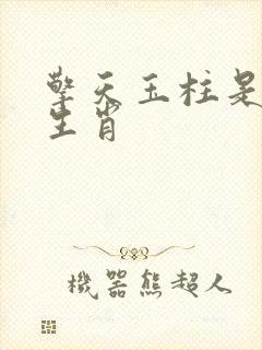 擎天玉柱是什么生肖