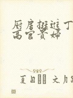 厨房挺进丁字裤高官贵妇