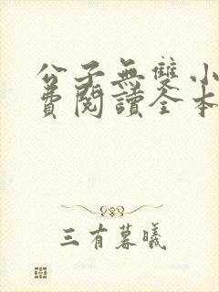 公子无双小说免费阅读全本封面