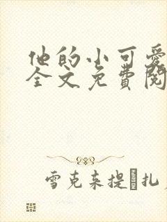 他的小可爱小说全文免费阅读封面