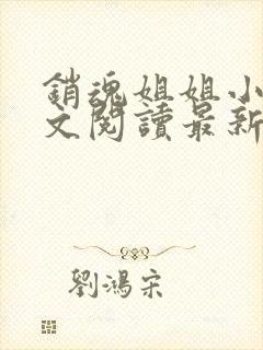 销魂姐姐小说全文阅读最新章节列表封面