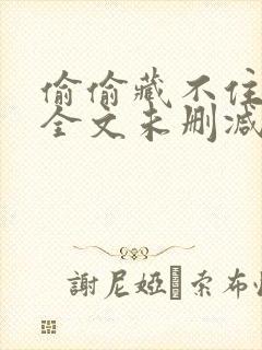 偷偷藏不住小说全文未删减版