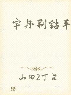 宇丹刷钻平台