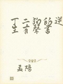 丁二狗的逆袭人生有声书