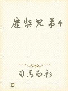 废柴兄弟4