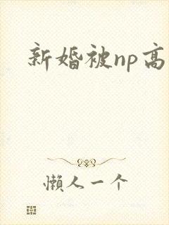 新婚被np高h封面