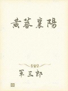 黄蓉襄阳