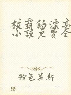 校霸的漂亮继父小说免费全文阅读