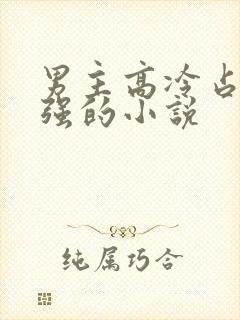 男主高冷占有欲强的小说
