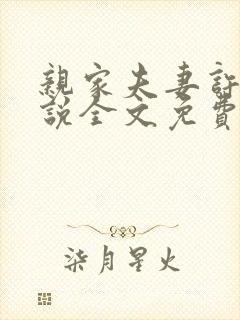 亲家夫妻许晴小说全文免费阅读封面