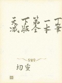 天下第一丁无删减版全本笔趣阁