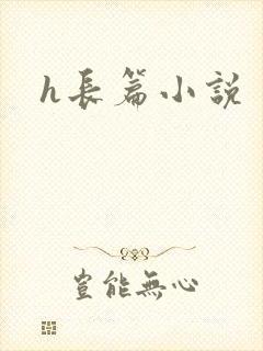 h长篇小说