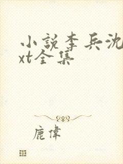 小说李兵沈思txt全集
