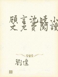 顾言沈晓小说全文免费阅读封面