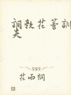 调教花蒂训诫从夫封面