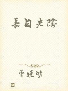 长日光阴封面