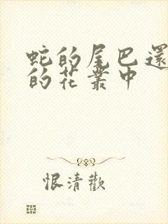 蛇的尾巴还在我的花丛中