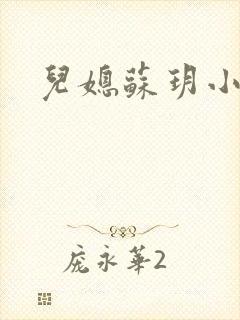 儿媳苏玥小说