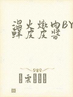 温火炖肉BY海鲜皮皮酱