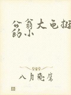 公翁大龟挺进我的小